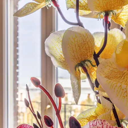 Gæstehus Casa Della Musica - Affitti Brevi Italia